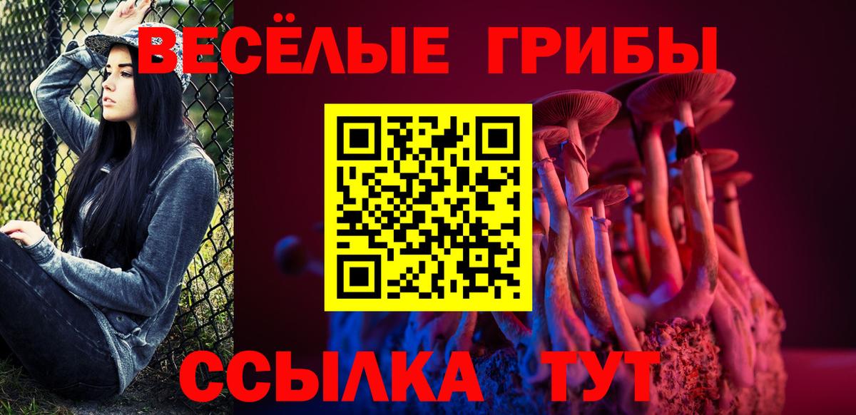 Фрязино  Галлюциногенные грибы Psilocybine cubensis  Вход с VPN 